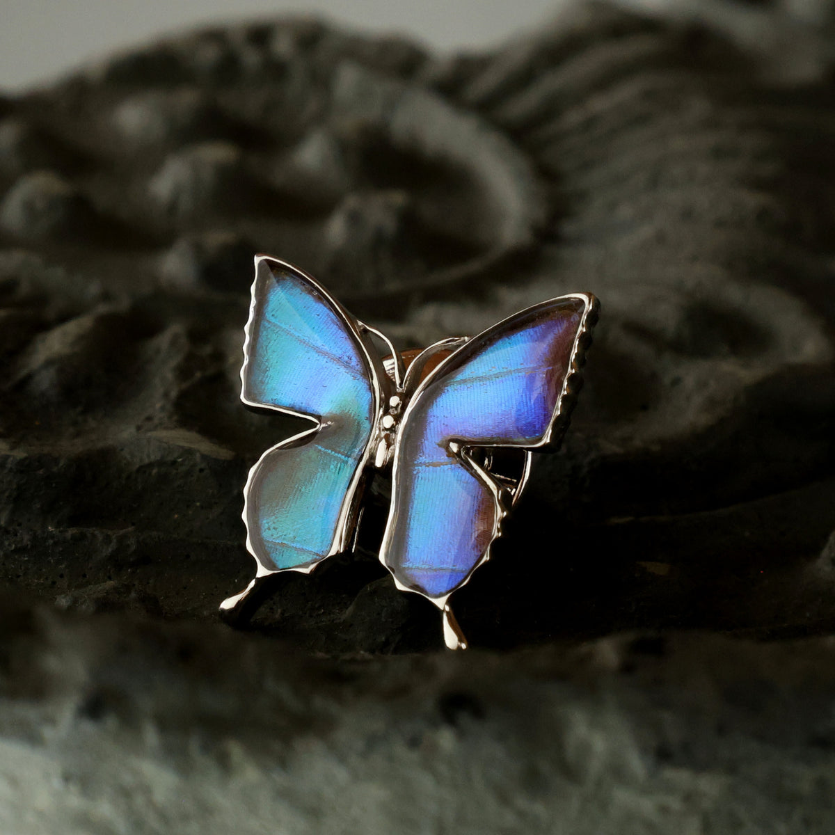 青い蝶 Psychotherapy ピンバッチ 青い蝶 Psychotherapy ピンバッチ