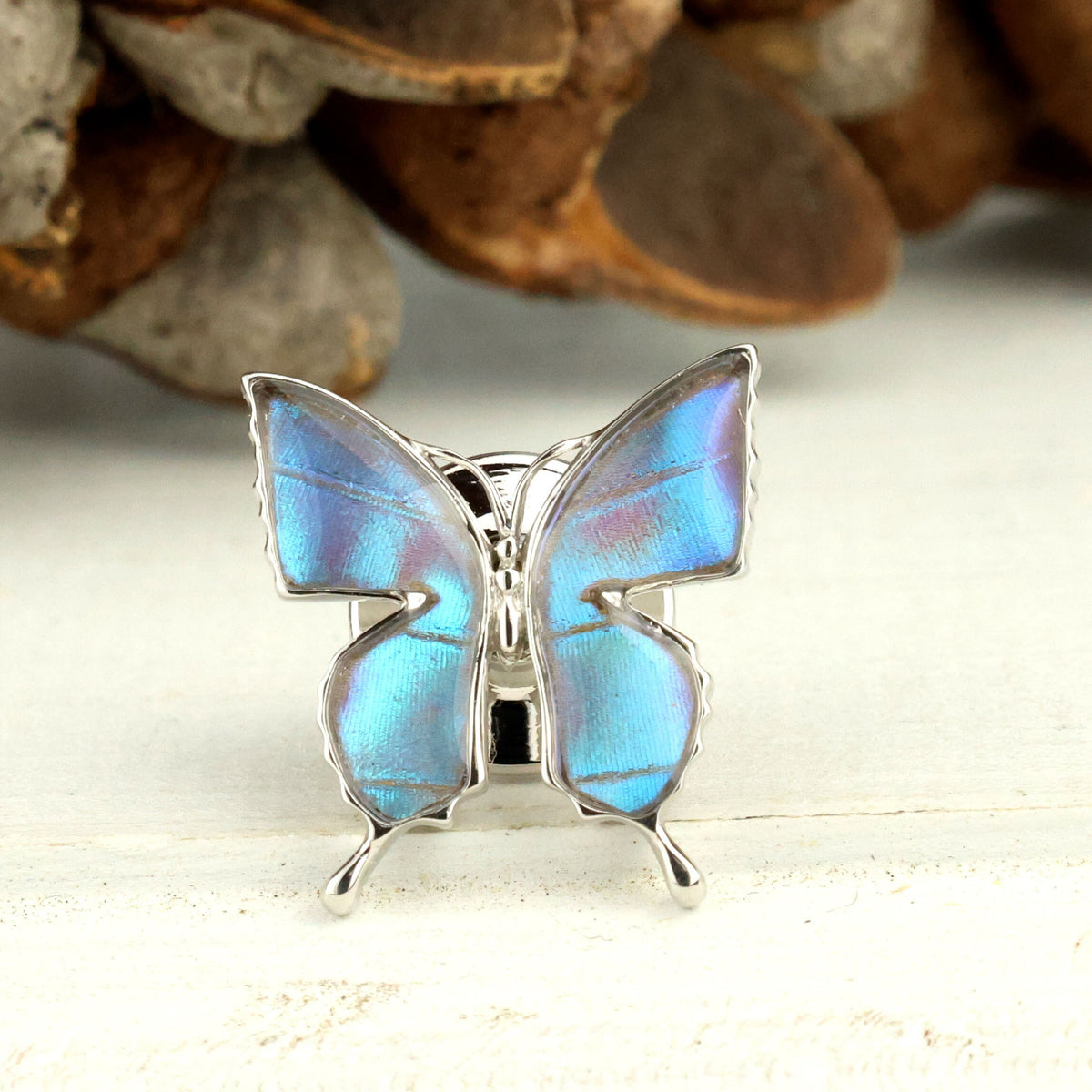 Psyche : アゲハ蝶デザイン バタフライ ラペルピン [ゼフィリティス